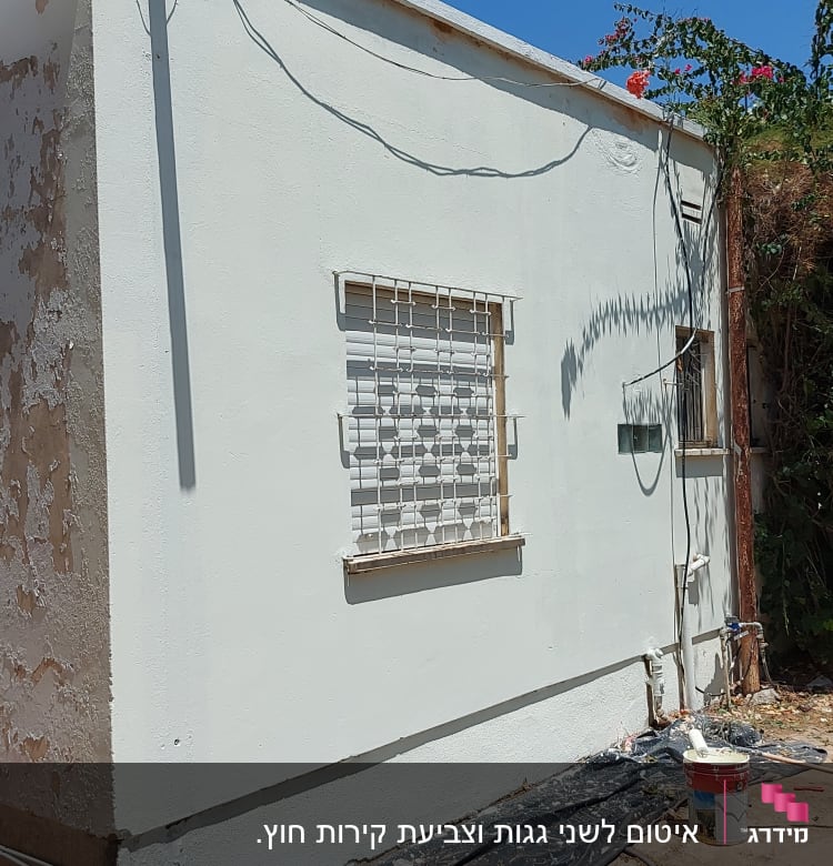 גג שטוח עם צינור בולט וענף יבש